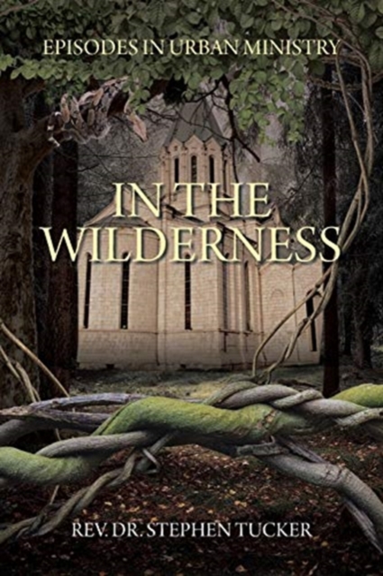 In The Wilderness : Episodes in Urban Ministry, Paperback / softback Book