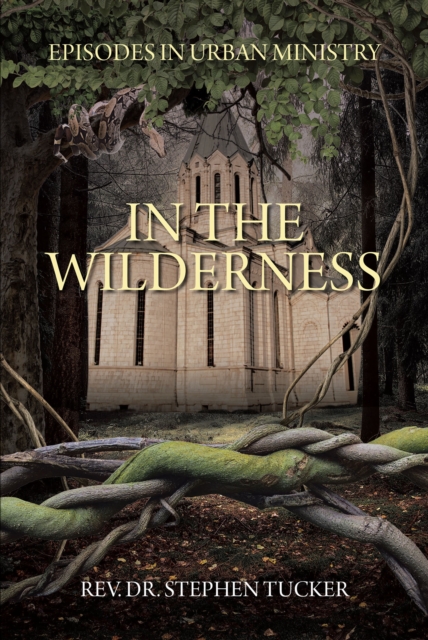 In The Wilderness : Episodes in Urban Ministry, EPUB eBook