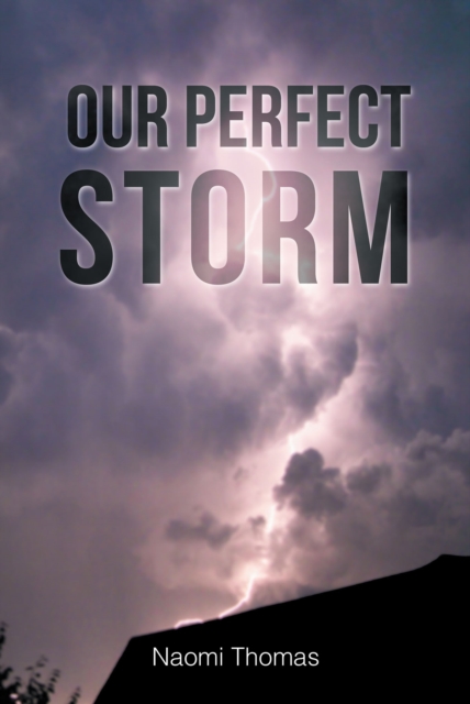 Our Perfect Storm, EPUB eBook