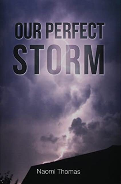 Our Perfect Storm, Hardback Book