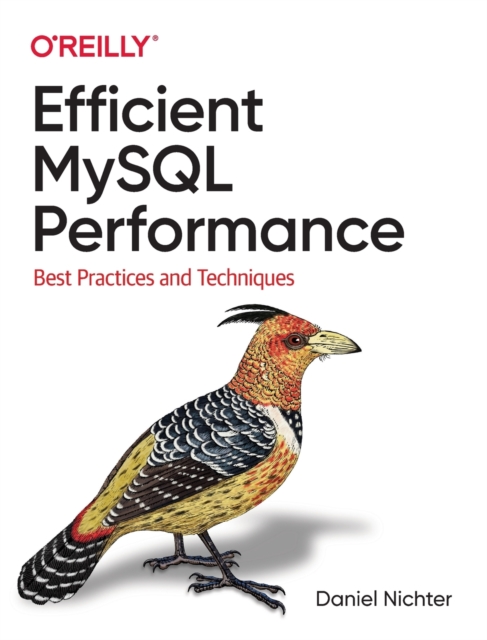 Efficient MySQL Performance : Best Practices and Techniques, Paperback / softback Book