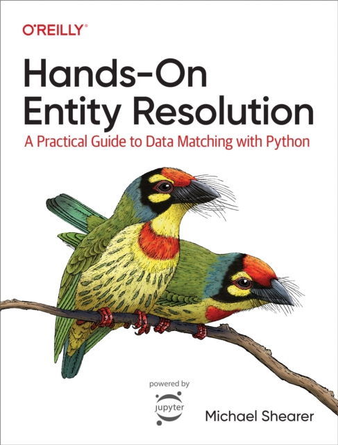 Hands-On Entity Resolution, EPUB eBook