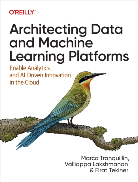 Architecting Data and Machine Learning Platforms, EPUB eBook