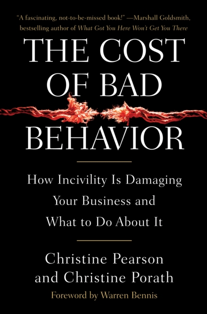 Cost of Bad Behavior, EPUB eBook