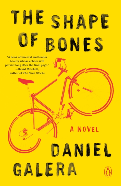 Shape of Bones, EPUB eBook