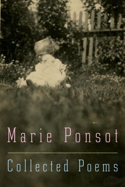 Collected Poems of Marie Ponsot, EPUB eBook