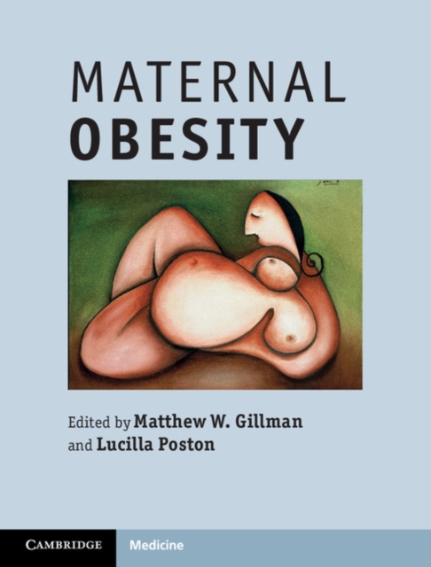 Maternal Obesity, Hardback Book