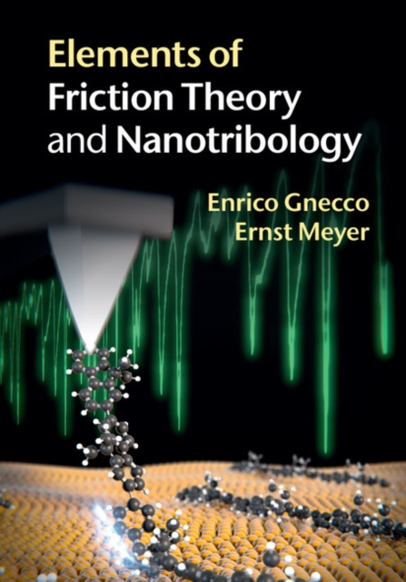 Elements of Friction Theory and Nanotribology, Hardback Book