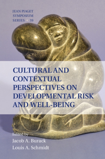 Cultural and Contextual Perspectives on Developmental Risk and Well-Being, Hardback Book