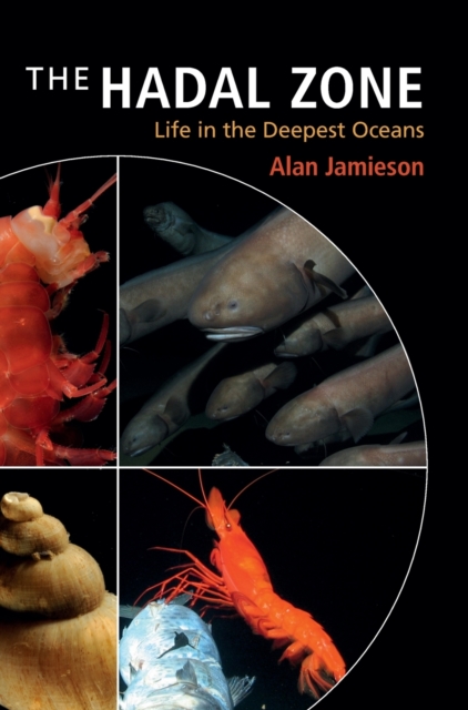The Hadal Zone : Life in the Deepest Oceans, Hardback Book