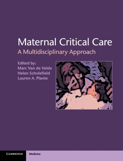 Maternal Critical Care : A Multidisciplinary Approach, Hardback Book