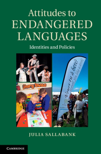 Attitudes to Endangered Languages : Identities and Policies, Hardback Book