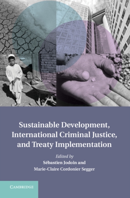 Sustainable Development, International Criminal Justice, and Treaty Implementation, Hardback Book