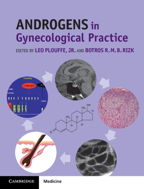 Androgens in Gynecological Practice, Hardback Book