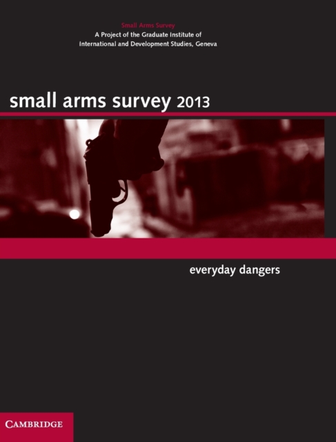 Small Arms Survey 2013 : Everyday Dangers, Hardback Book
