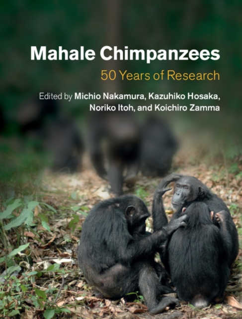 Mahale Chimpanzees : 50 Years of Research, Hardback Book