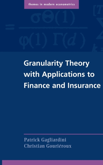 Granularity Theory with Applications to Finance and Insurance, Hardback Book