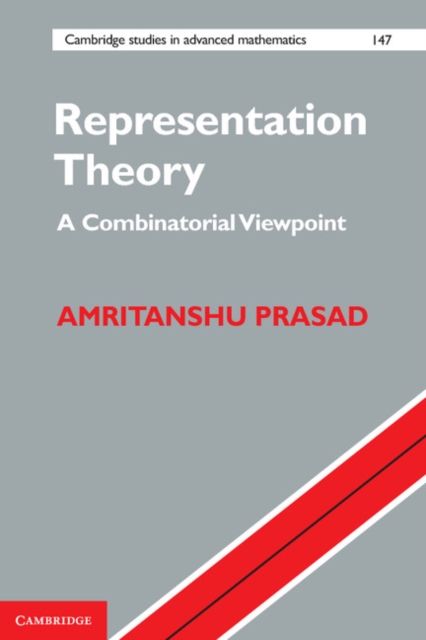 Representation Theory : A Combinatorial Viewpoint, Hardback Book