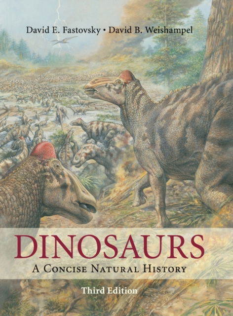 Dinosaurs : A Concise Natural History, Hardback Book