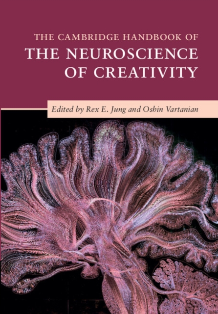 The Cambridge Handbook of the Neuroscience of Creativity, Hardback Book