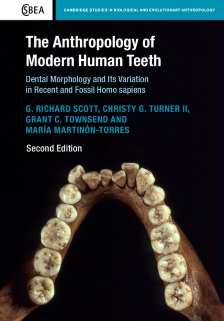 The Anthropology of Modern Human Teeth : Dental Morphology and Its Variation in Recent and Fossil Homo sapiens, Hardback Book