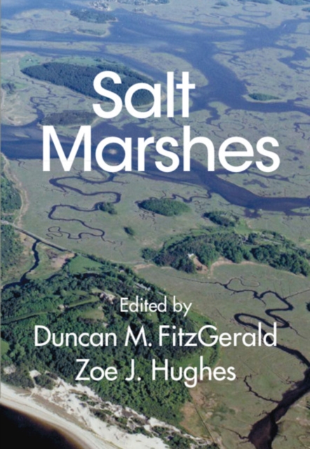 Salt Marshes : Function, Dynamics, and Stresses, Hardback Book