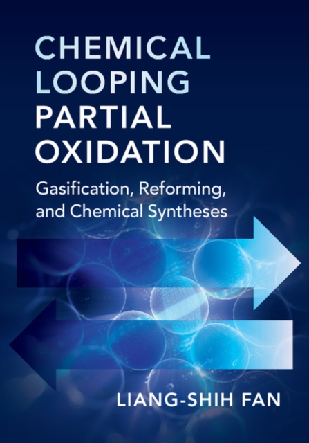 Chemical Looping Partial Oxidation : Gasification, Reforming, and Chemical Syntheses, Hardback Book
