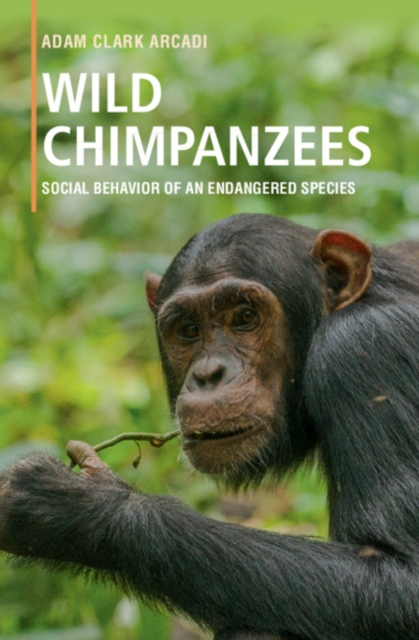 Wild Chimpanzees : Social Behavior of an Endangered Species, Hardback Book