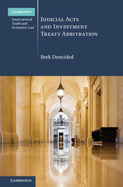 Judicial Acts and Investment Treaty Arbitration, Hardback Book
