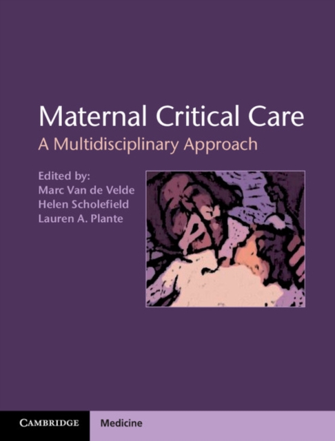 Maternal Critical Care : A Multidisciplinary Approach, PDF eBook