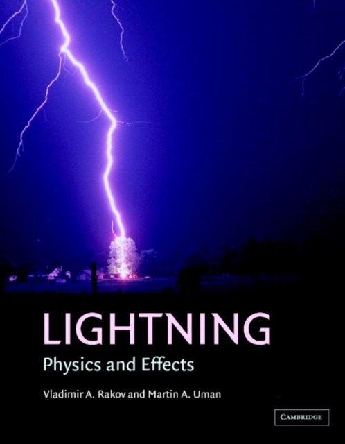 Lightning : Physics and Effects, EPUB eBook