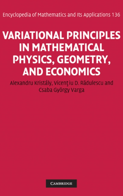 Variational Principles in Mathematical Physics, Geometry, and Economics : Qualitative Analysis of Nonlinear Equations and Unilateral Problems, PDF eBook