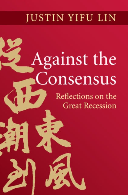 Against the Consensus : Reflections on the Great Recession, PDF eBook