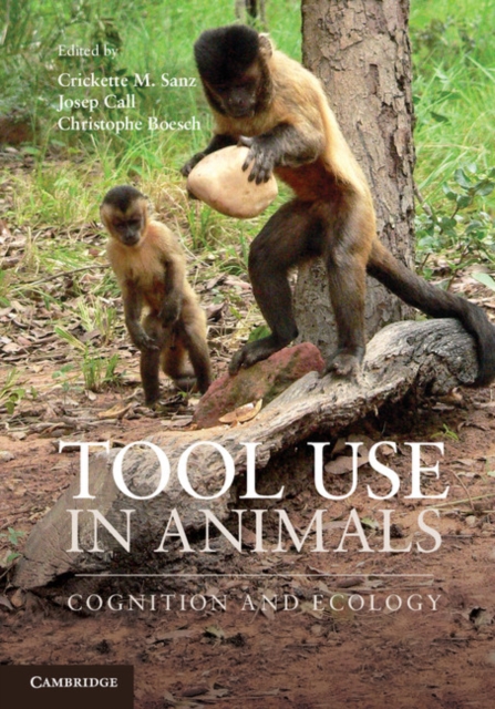 Tool Use in Animals : Cognition and Ecology, PDF eBook
