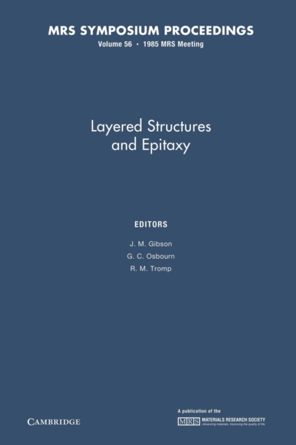 Layered Structures and Epitaxy: Volume 56, Paperback / softback Book