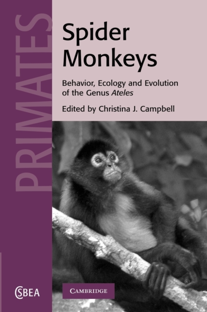 Spider Monkeys : Behavior, Ecology and Evolution of the Genus Ateles, Paperback / softback Book