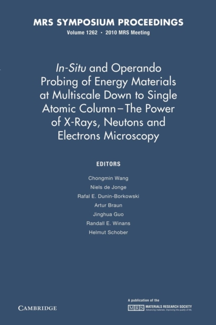 In-Situ and Operando Probing of Energy Materials at Multiscale Down to Single Atomic Column - The Power of X-Rays, Neutrons and Electron Microscopy: Volume 1262, Paperback / softback Book