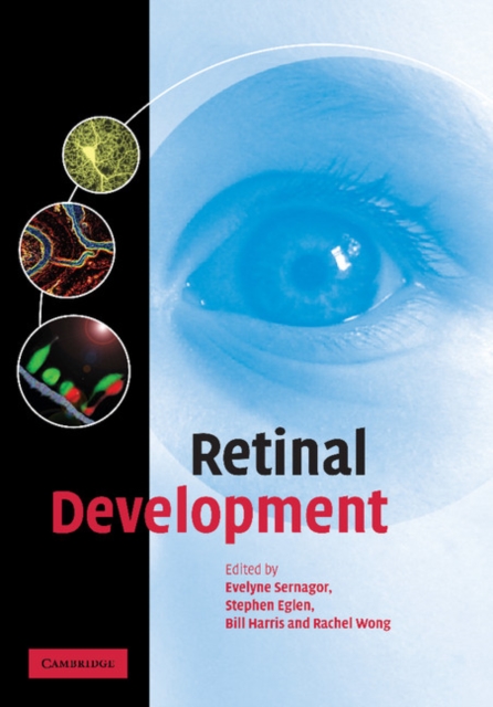 Retinal Development, Paperback / softback Book