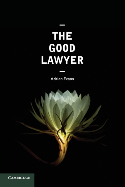 The Good Lawyer : A Student Guide to Law and Ethics, Paperback / softback Book