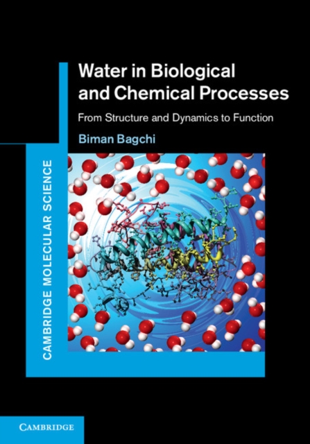 Water in Biological and Chemical Processes : From Structure and Dynamics to Function, EPUB eBook
