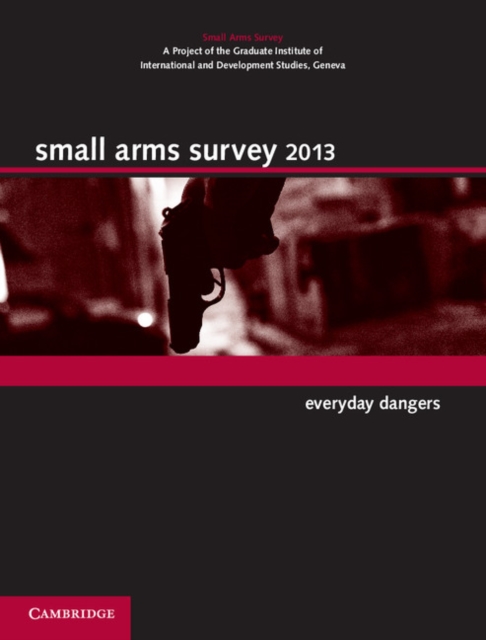 Small Arms Survey 2013 : Everyday Dangers, EPUB eBook