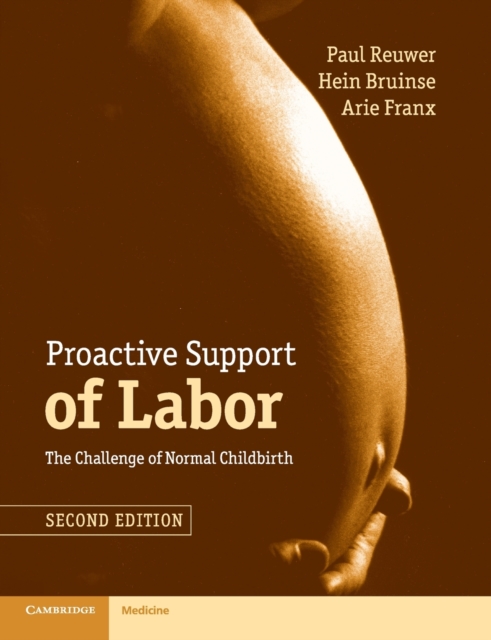 Proactive Support of Labor : The Challenge of Normal Childbirth, Paperback / softback Book