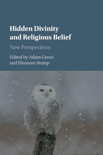 Hidden Divinity and Religious Belief : New Perspectives, Paperback / softback Book