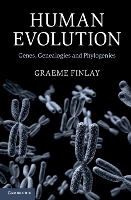 Human Evolution : Genes, Genealogies and Phylogenies, PDF eBook