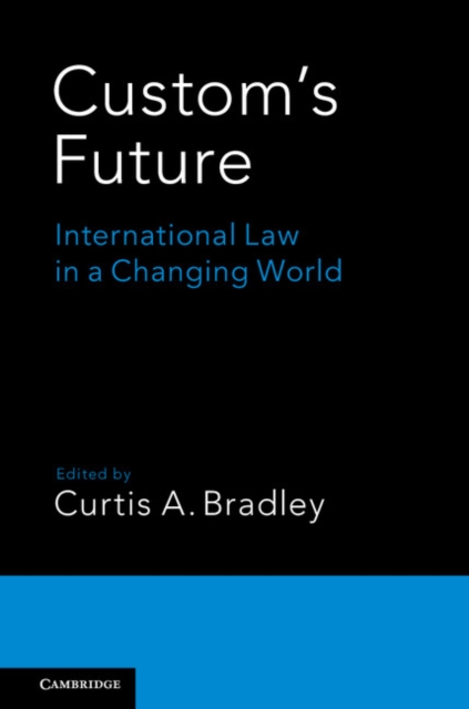 Custom's Future : International Law in a Changing World, Paperback / softback Book