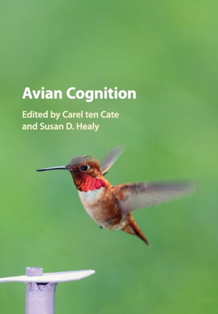 Avian Cognition, Paperback / softback Book