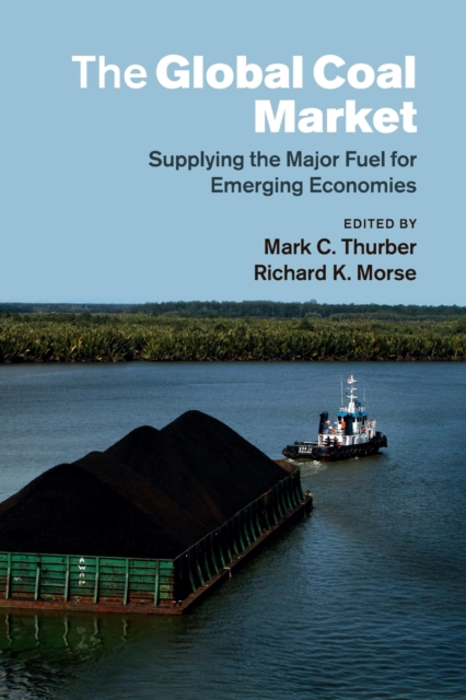 The Global Coal Market : Supplying the Major Fuel for Emerging Economies, Paperback / softback Book