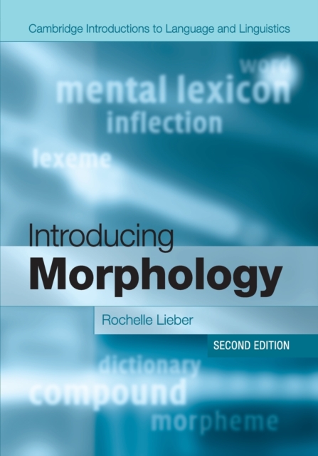 Introducing Morphology, Paperback / softback Book