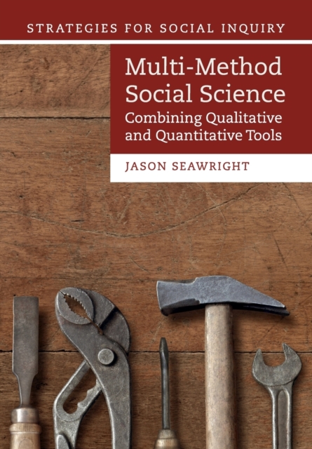 Multi-Method Social Science : Combining Qualitative and Quantitative Tools, Paperback / softback Book