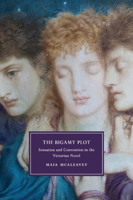 The Bigamy Plot : Sensation and Convention in the Victorian Novel, Paperback / softback Book